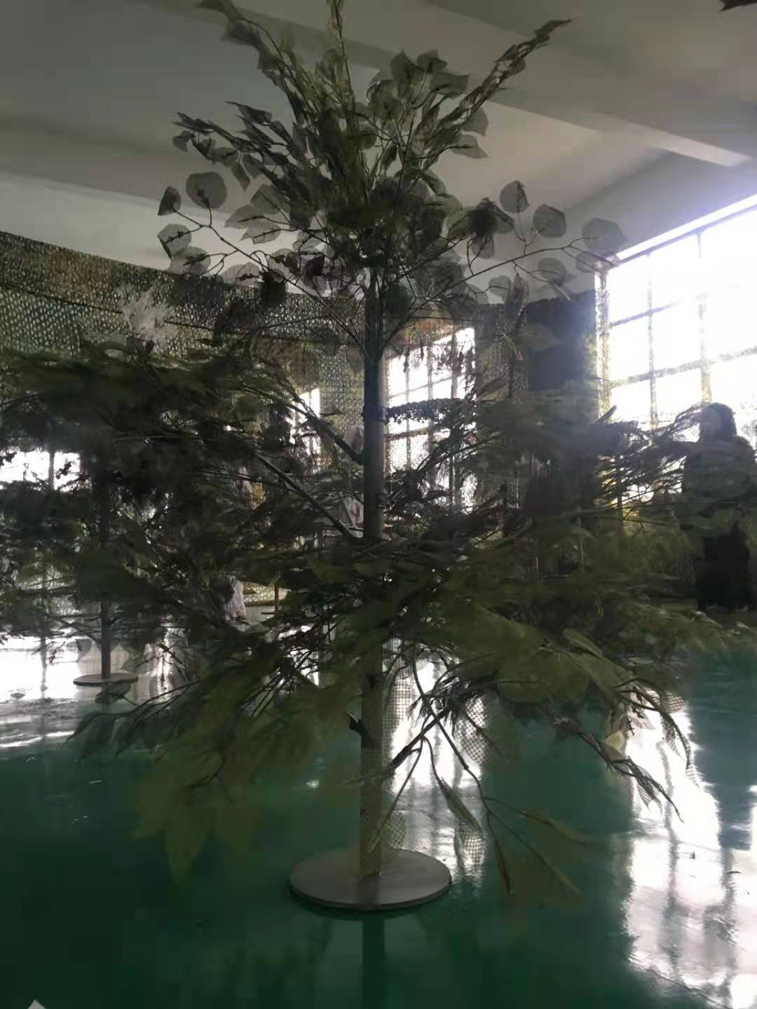 �����(sh��)